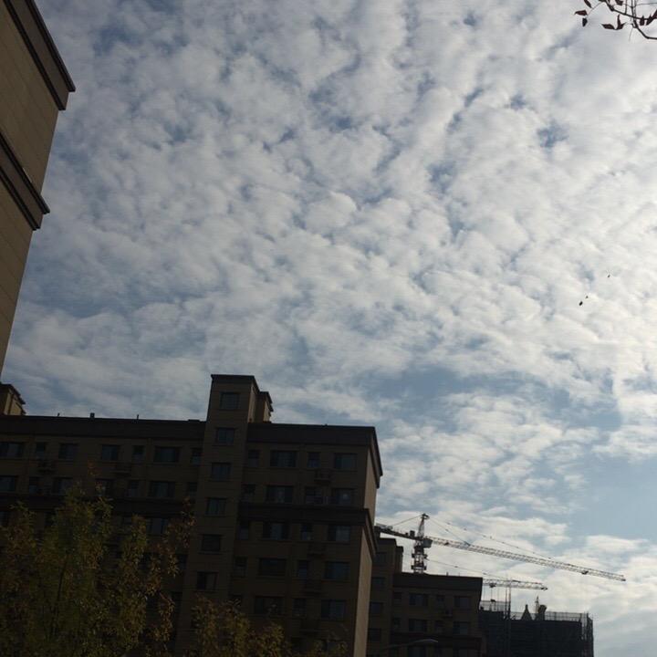 兮공앞晓工厂店