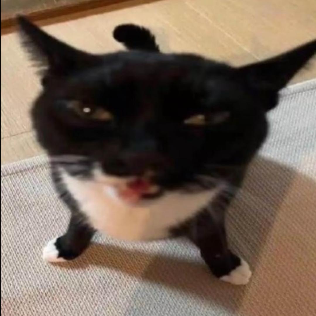 kt