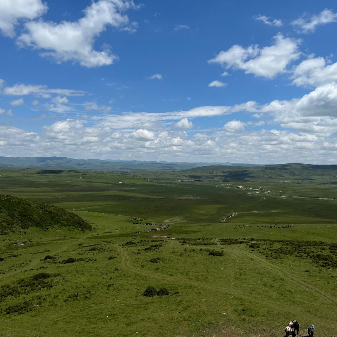 不眨眼（双子座）