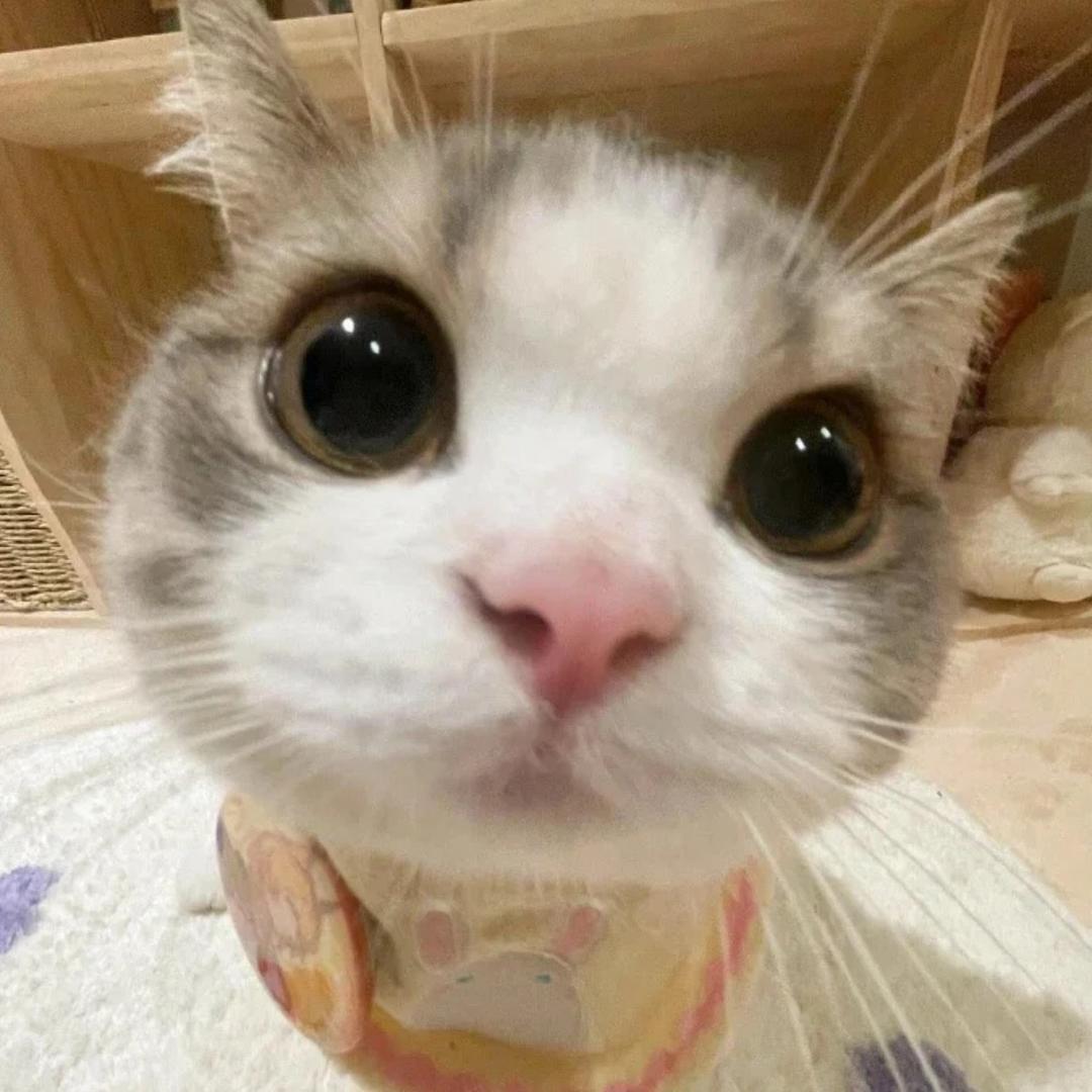 点心大王