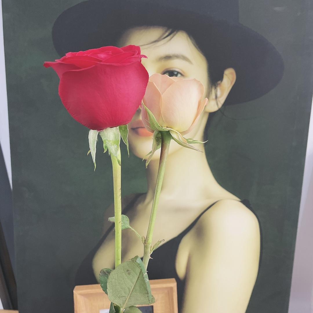 龙龙🥳