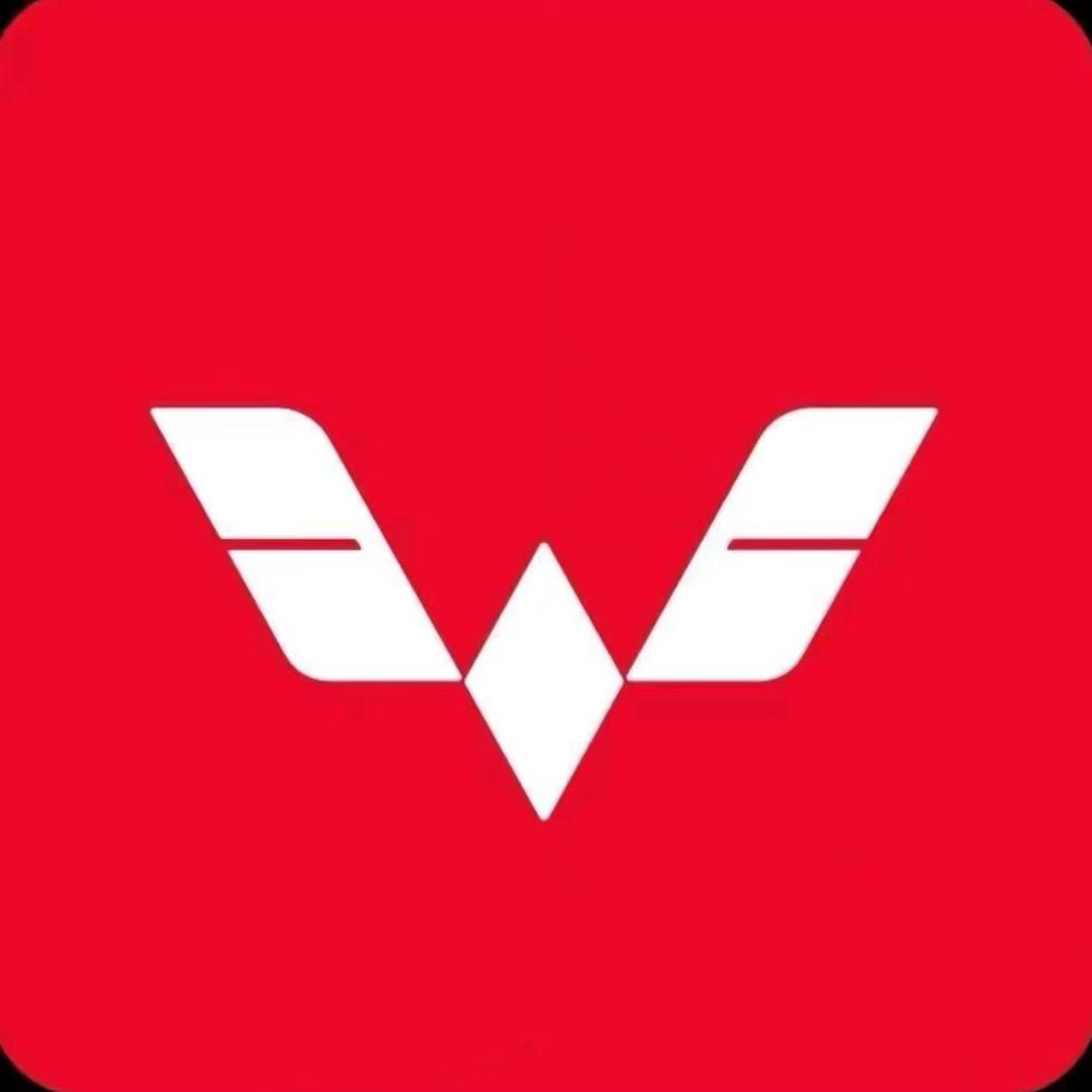 五菱工厂（莫总）