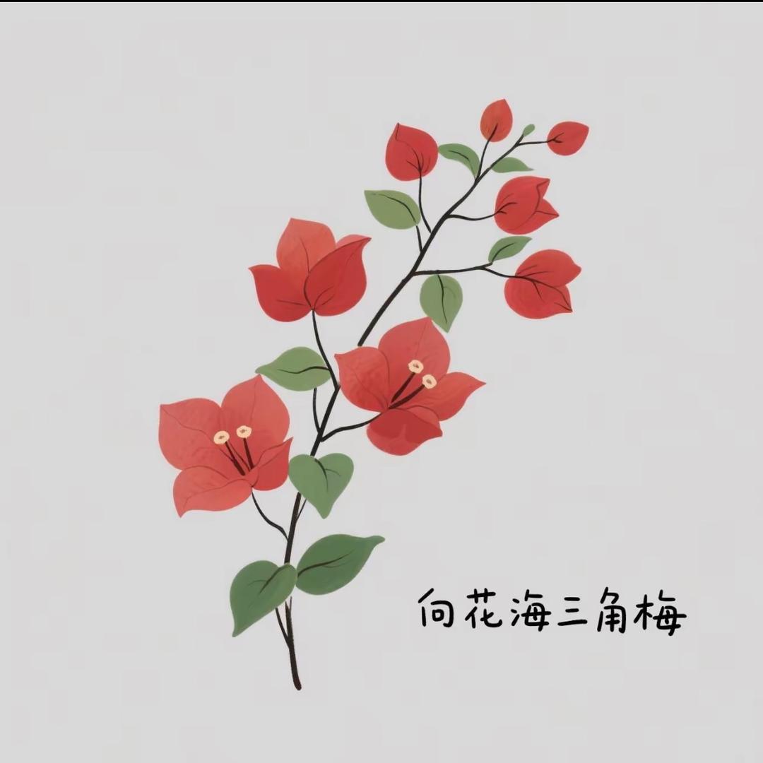 向花海三角梅