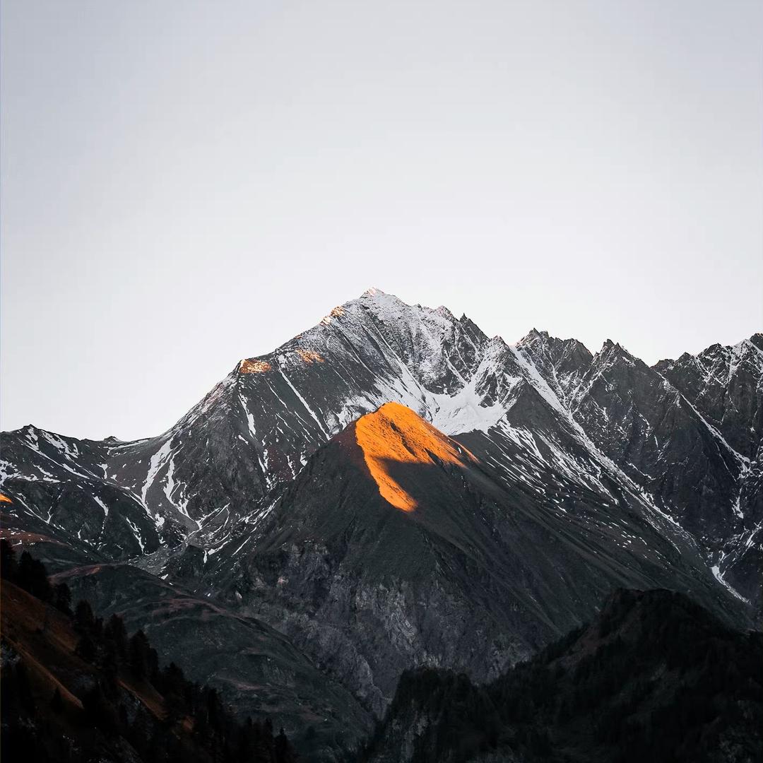 勤吃鱼