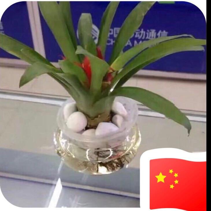 ^ _ ^