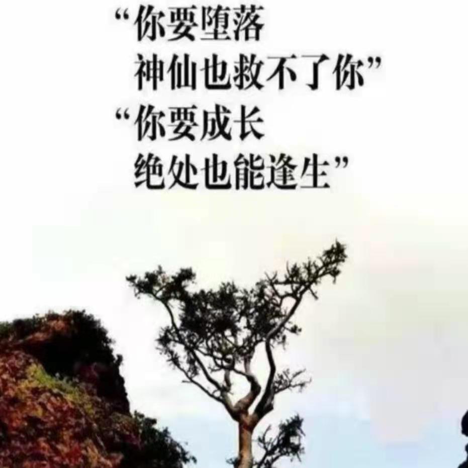 洪哥说高考