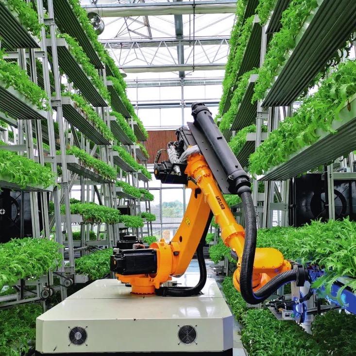 种子工厂批发仓