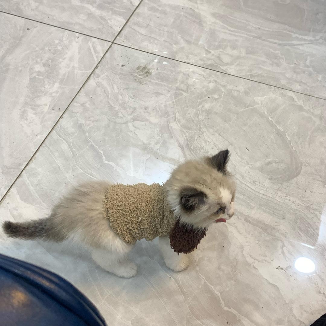 恒岸-社工小彤老师