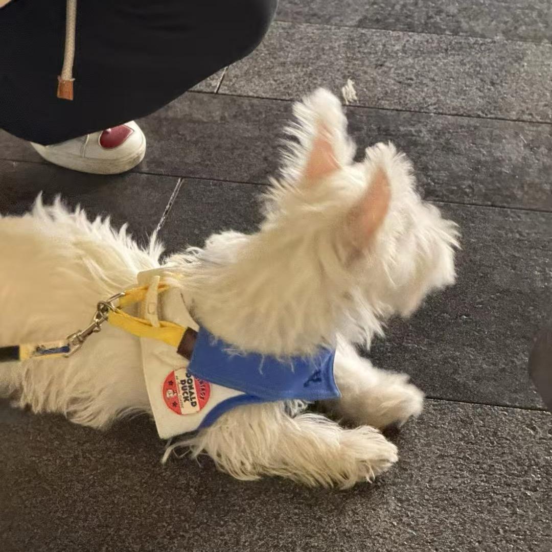 Luuu
