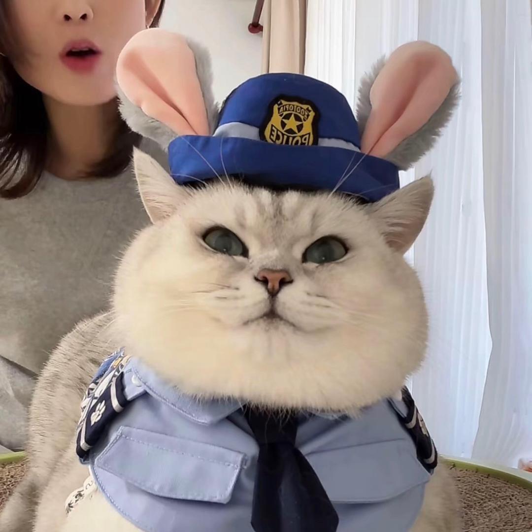 小封家(˵¯͒〰¯͒˵)