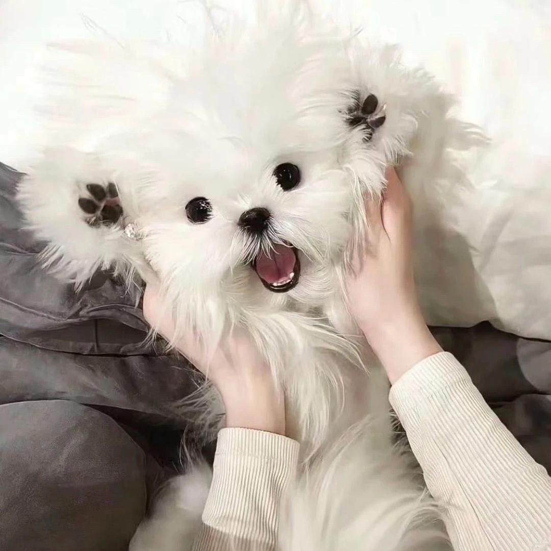 李童雪