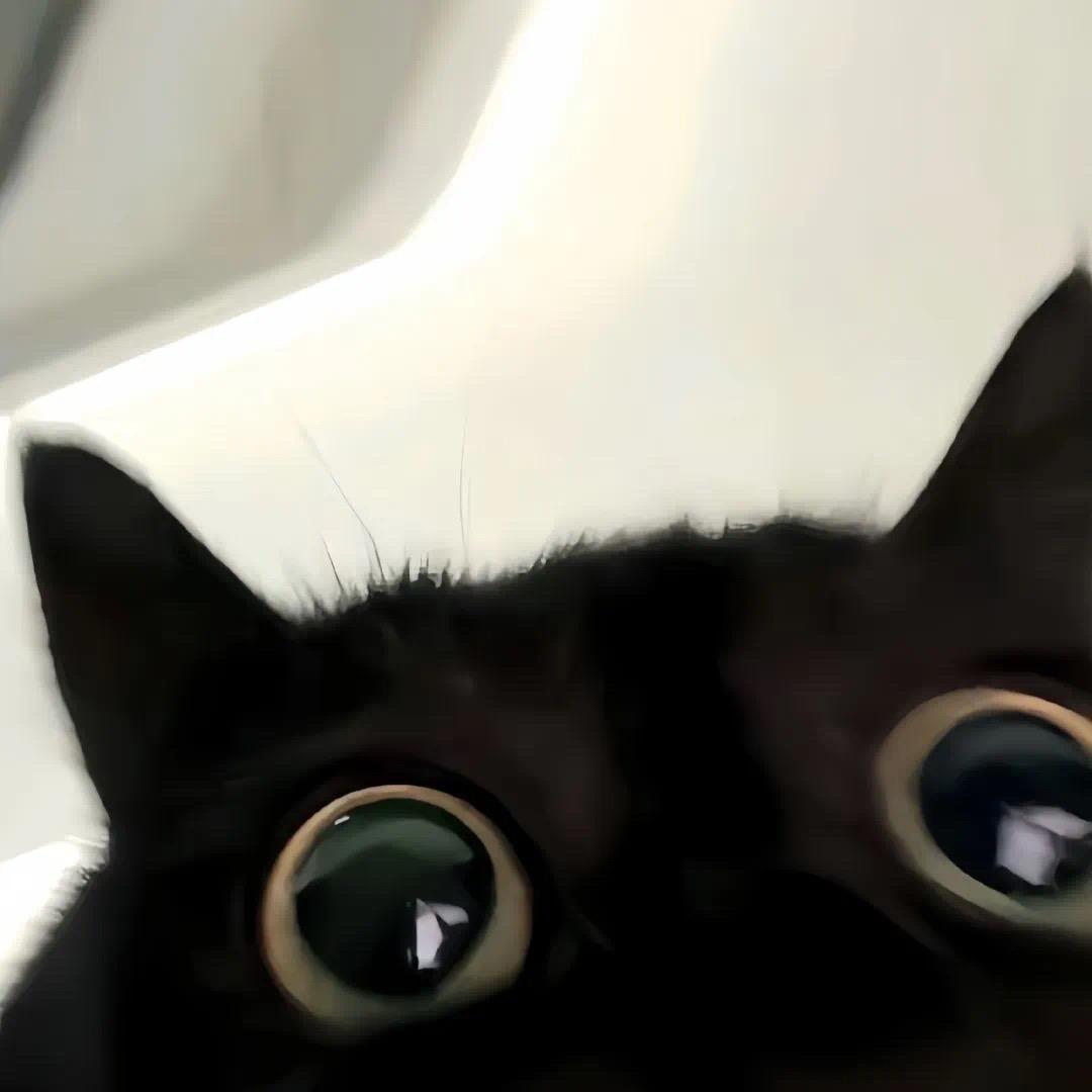 ❀ ㅤ