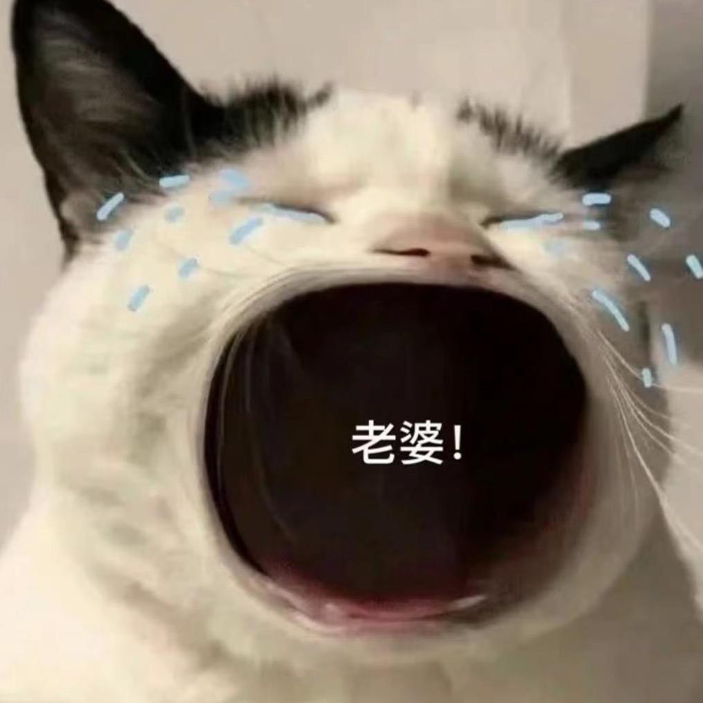 狗静小娇妻