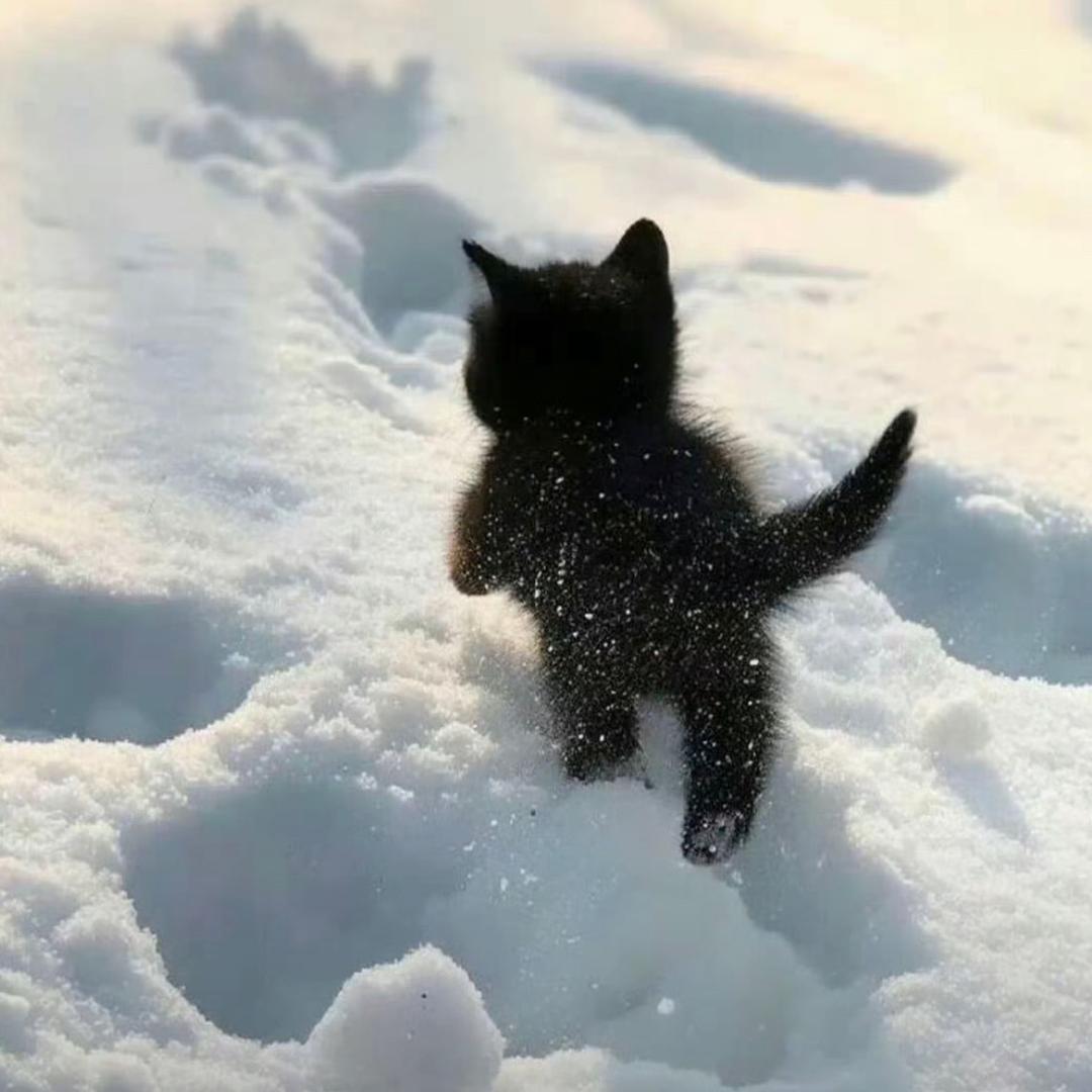 ❄️