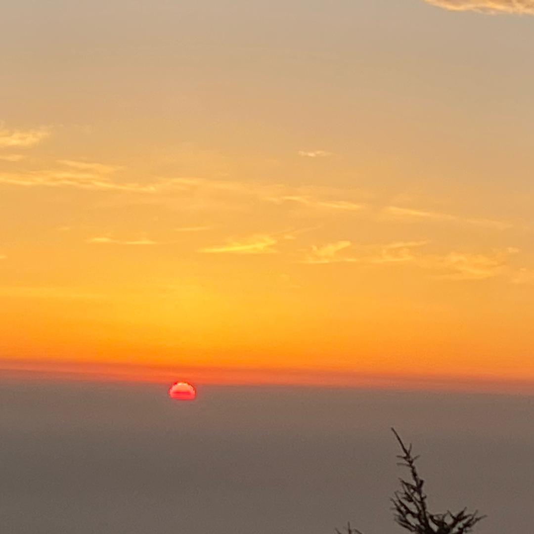巴图鲁(纯绿跑刀)