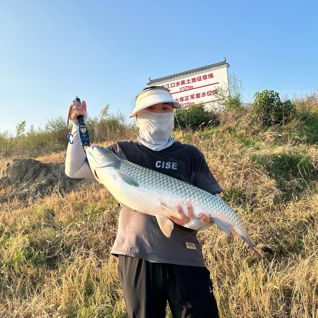 海之森能源钓鱼佬