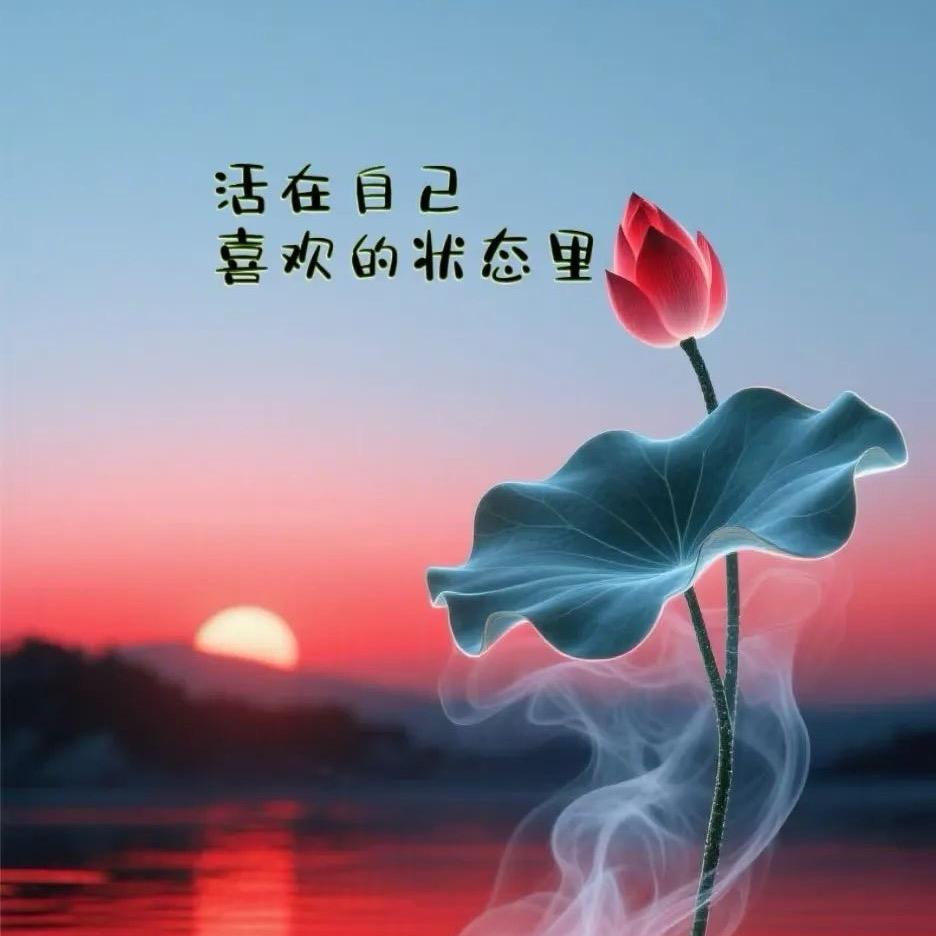 懂我（王宁）