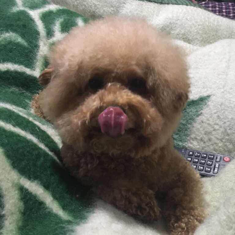 嘻嘻