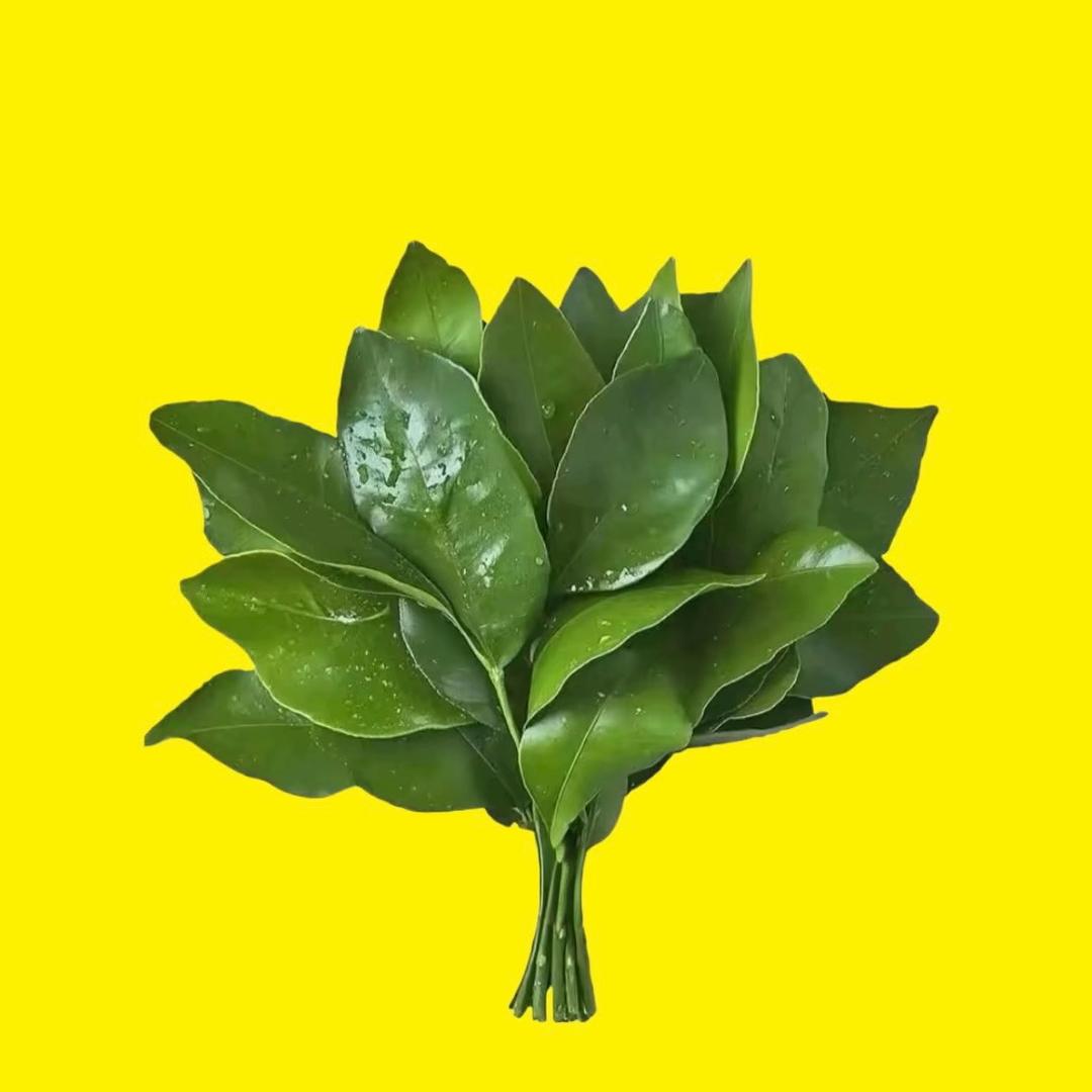 𝟳𝙞𝙤𝙫𝙤