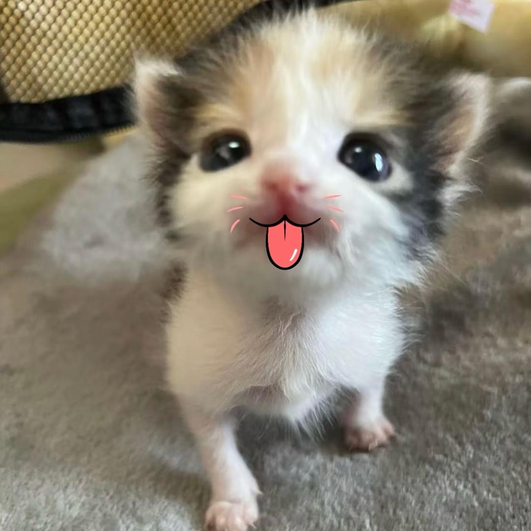 小小の老子