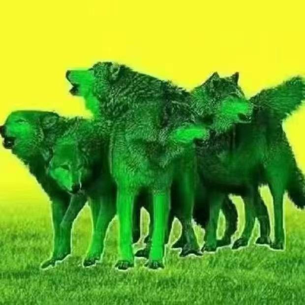 乐陵滨海超市卖猪肉滴