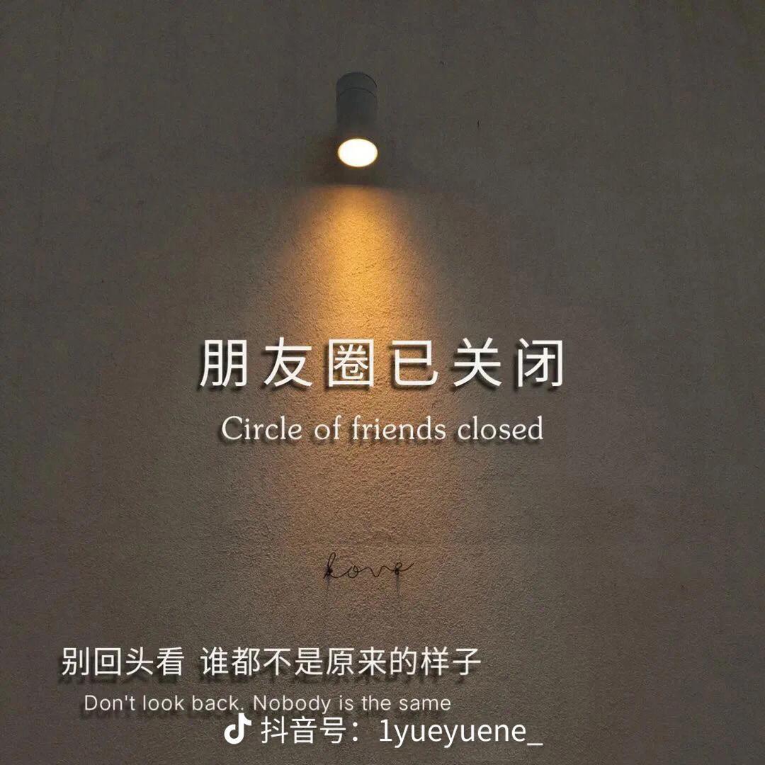 华丽逆袭者安太太头像
