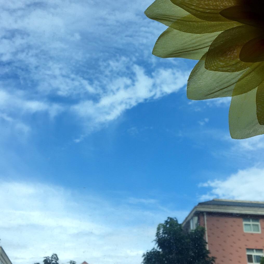 启程💐