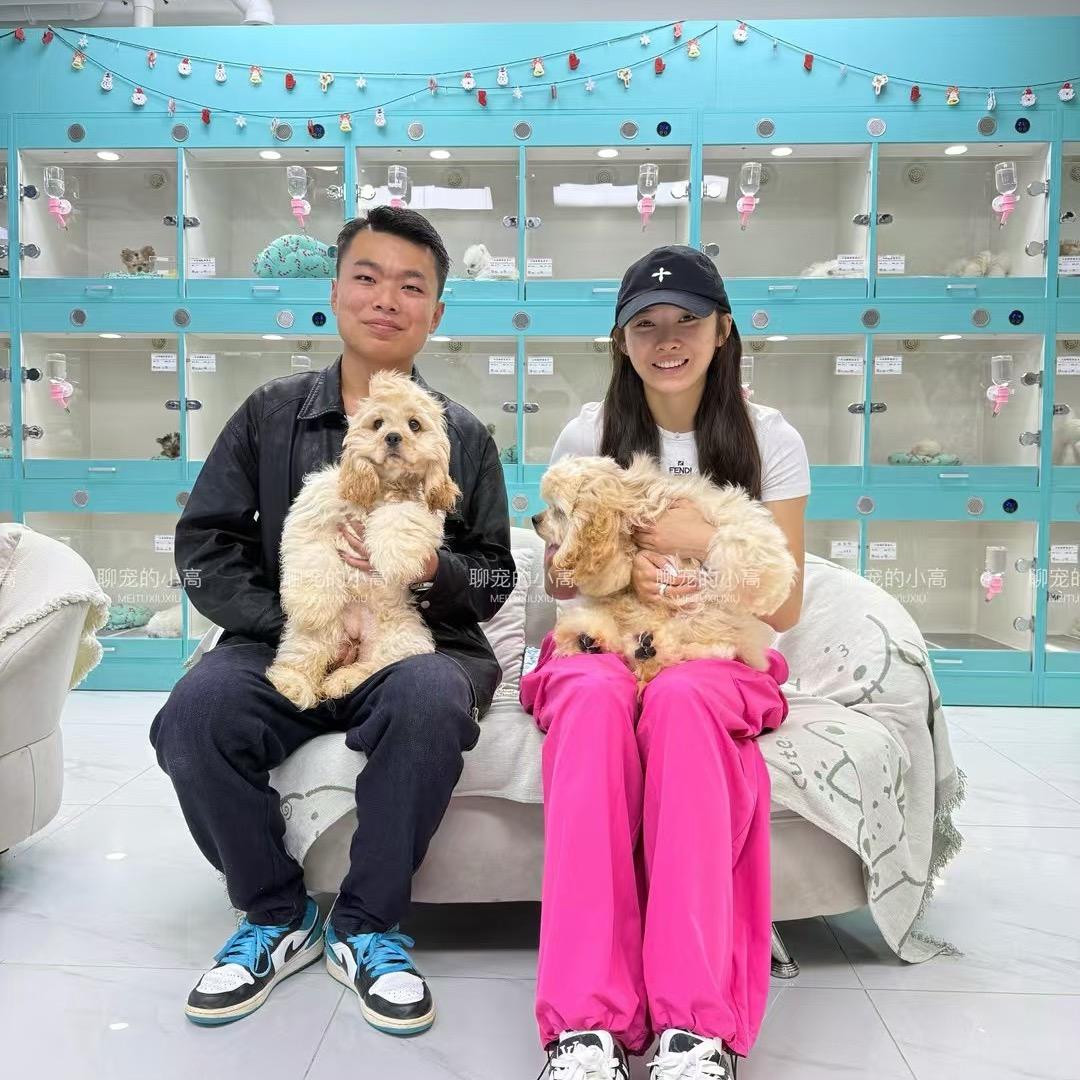 小高家Cockapoo可卡布 美卡🐶