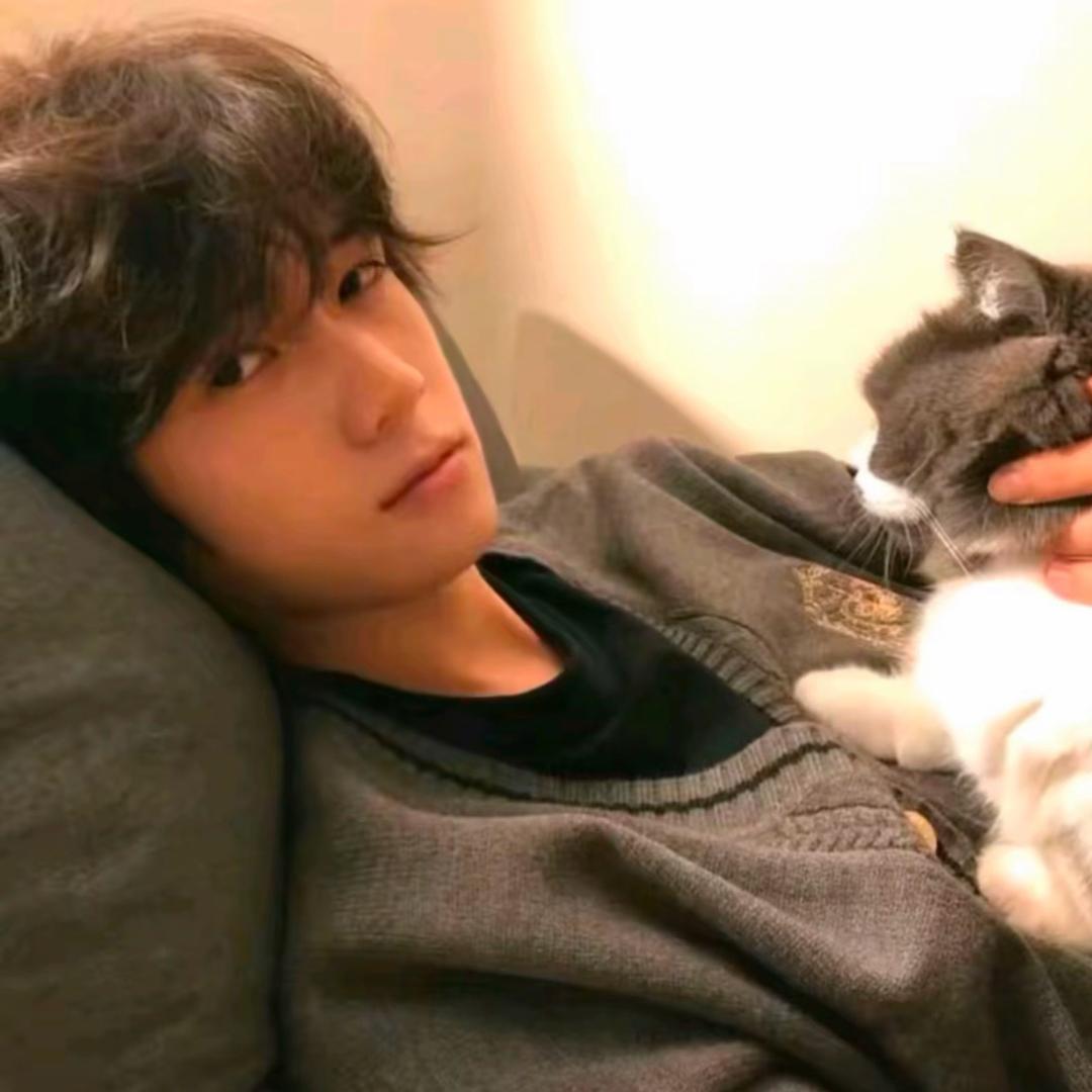 XiaoCheng的小狗狗