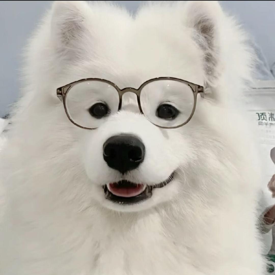 泉州乐宠宠物批发