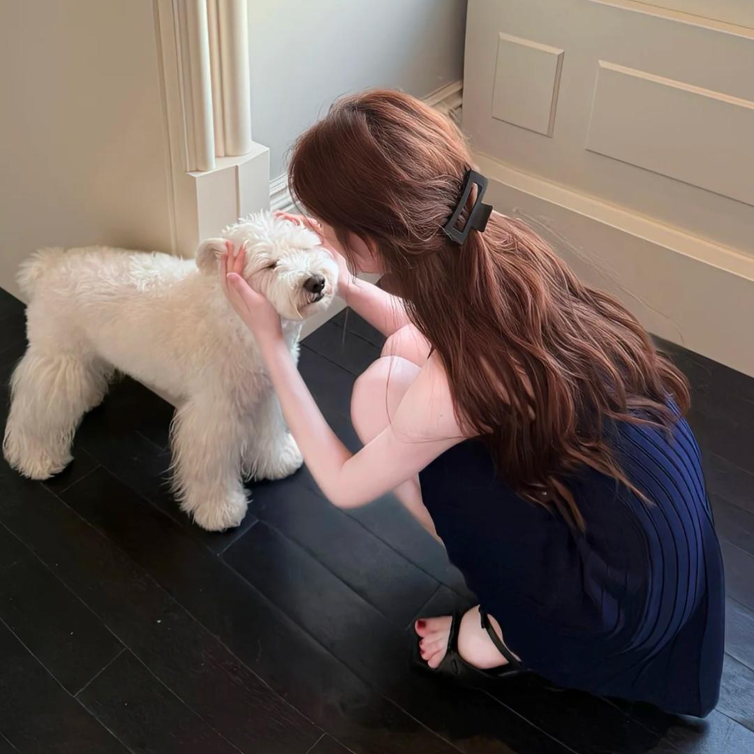 是灿灿不是菜菜