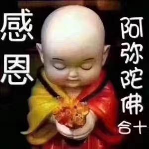 咋滴吧