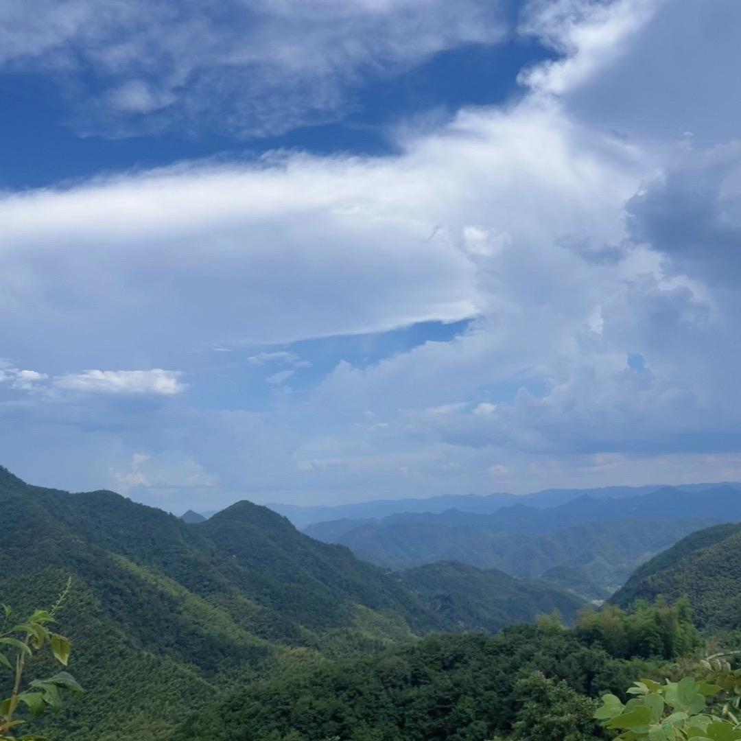 夏雨