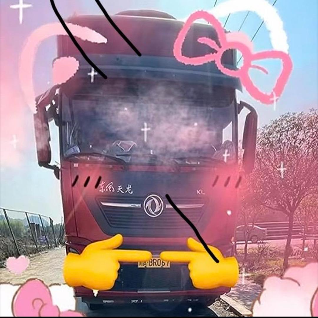 AAA-大运卡车🫘师傅（专跑国道）头像