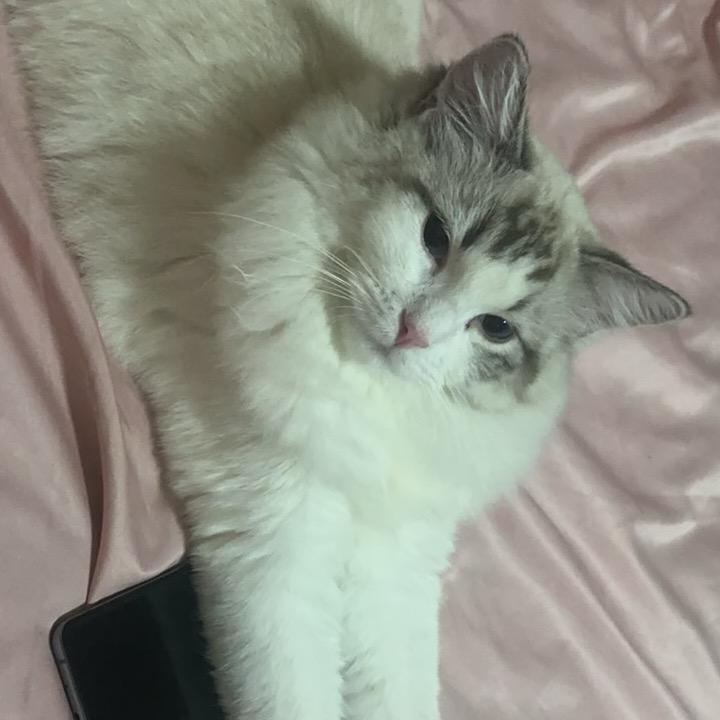 你跟我搞笑