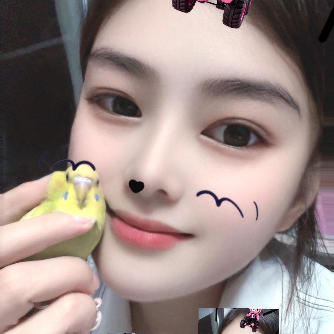 星铭（六六）🎤