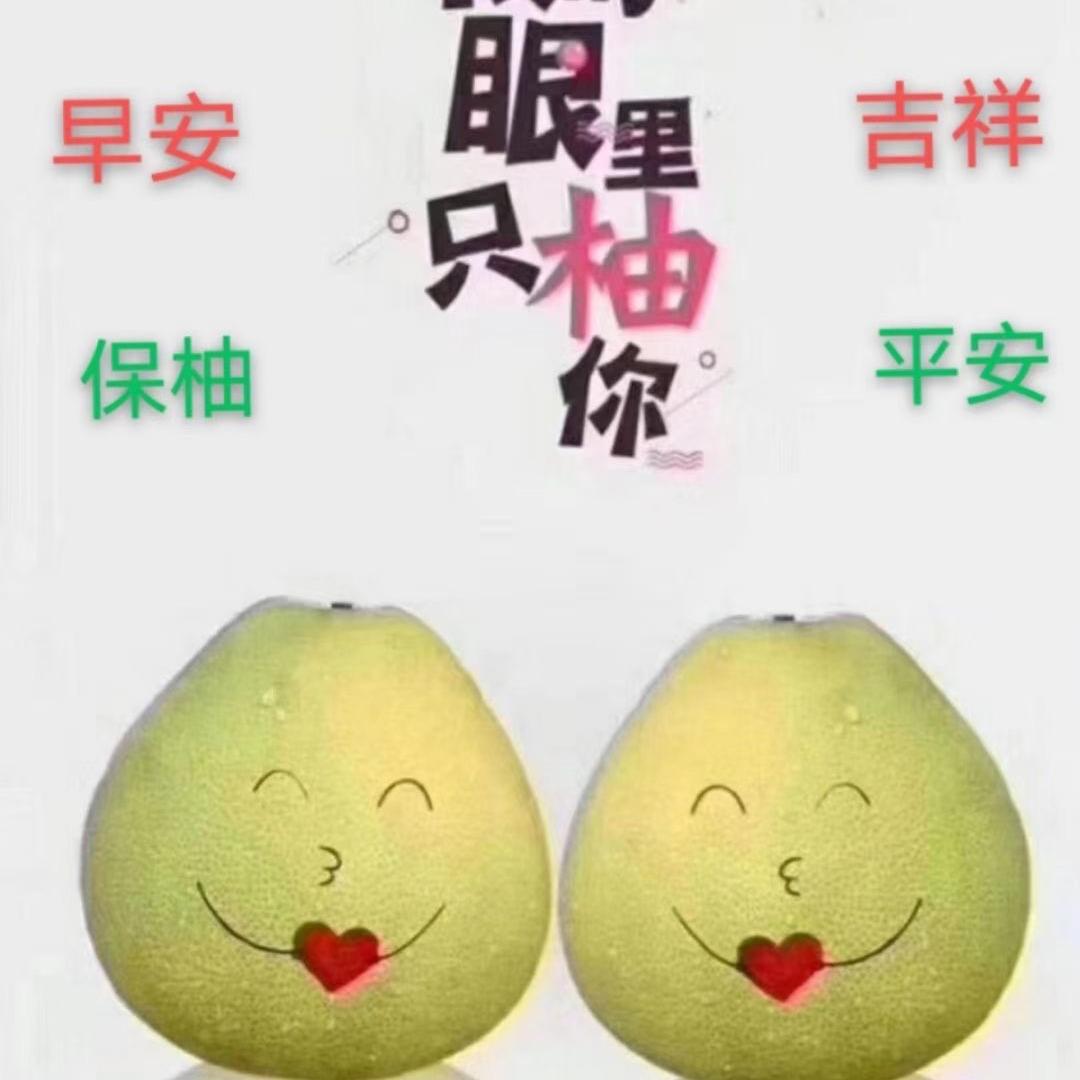 柚遇见你度尾文旦柚