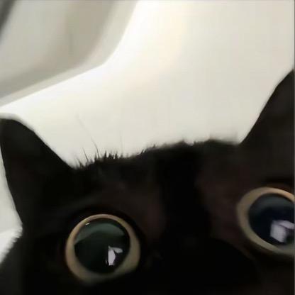 虾扯淡