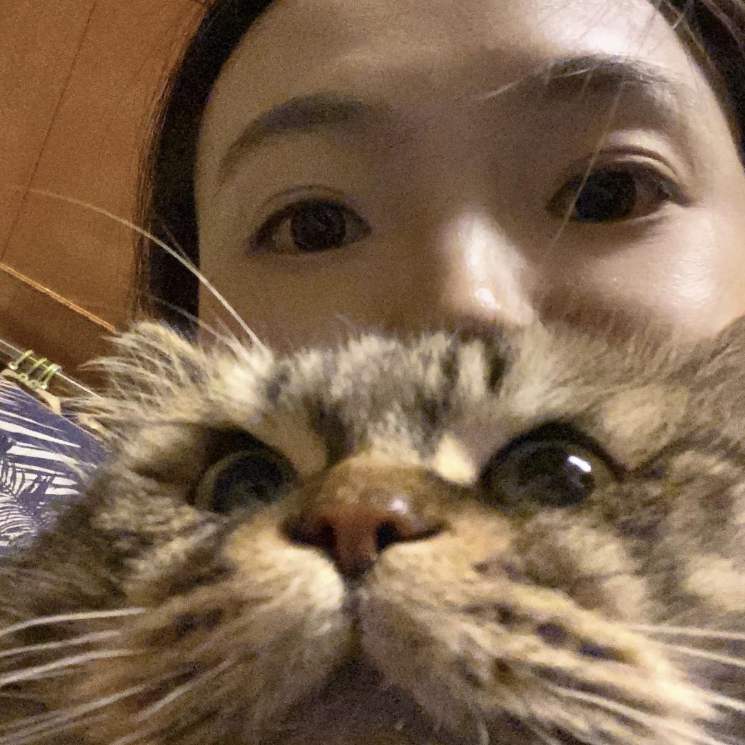 所以等会吃什么