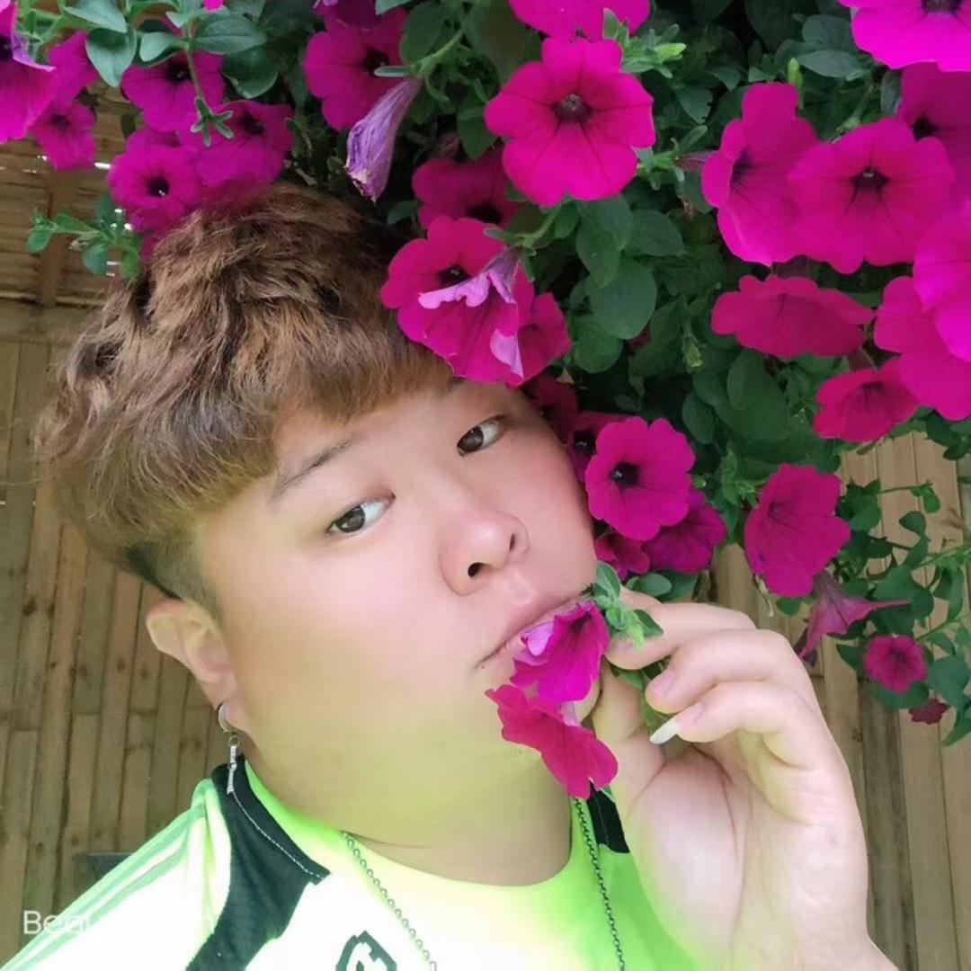 金金导游教互动