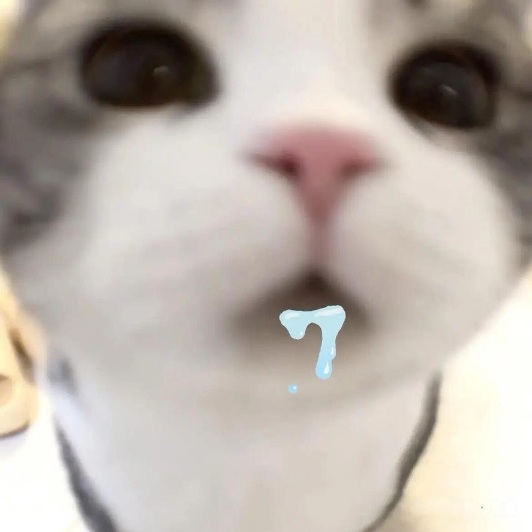 别烦我