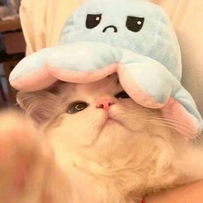 洁洁.