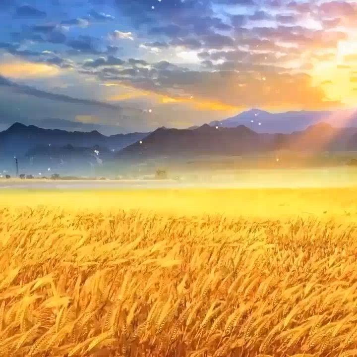 厚德载物，