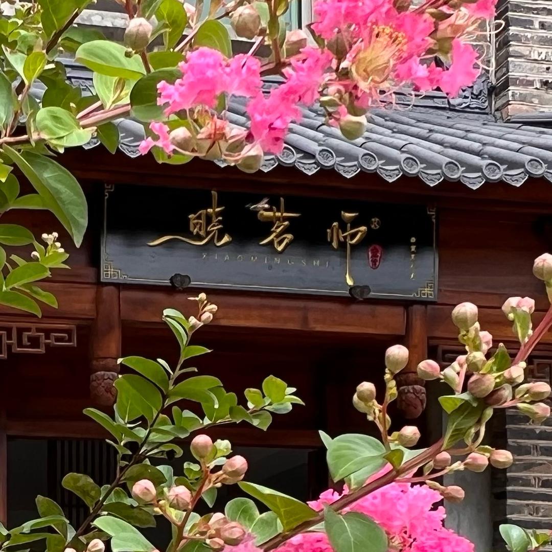 晓茗师®