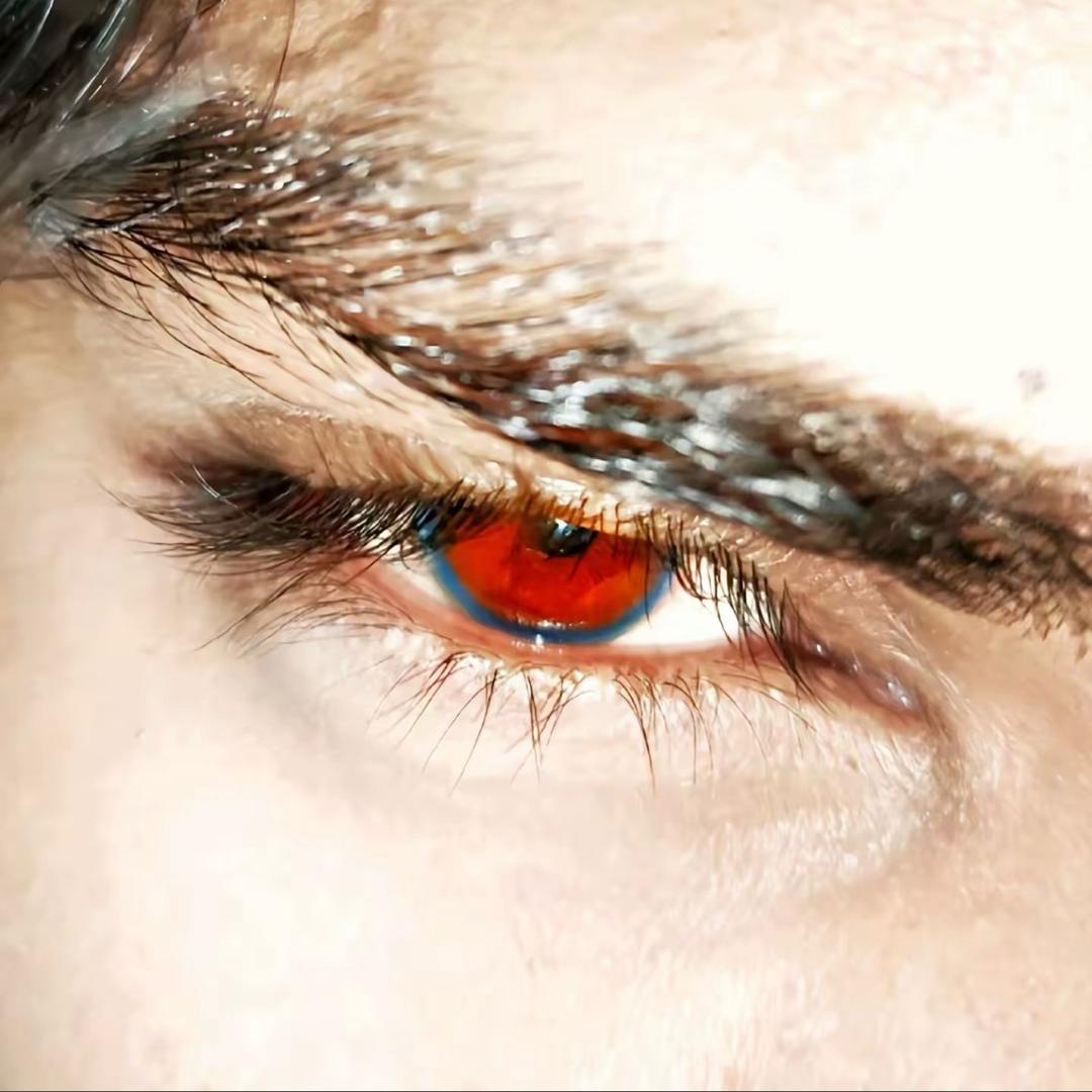 请把小猫还给我