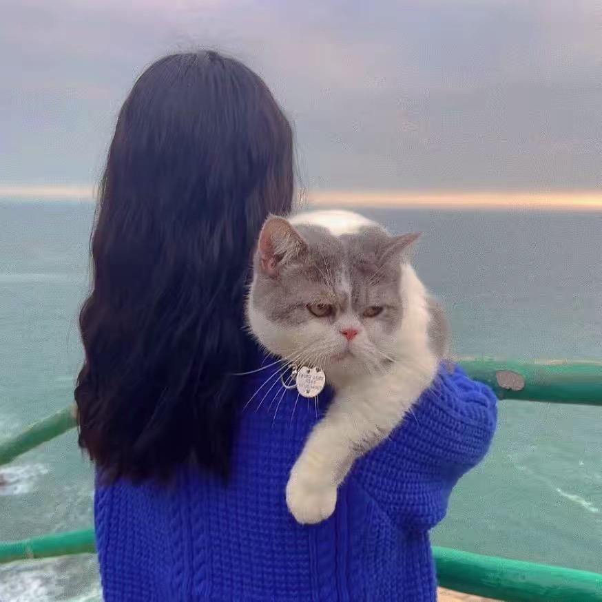 婷子巴拉