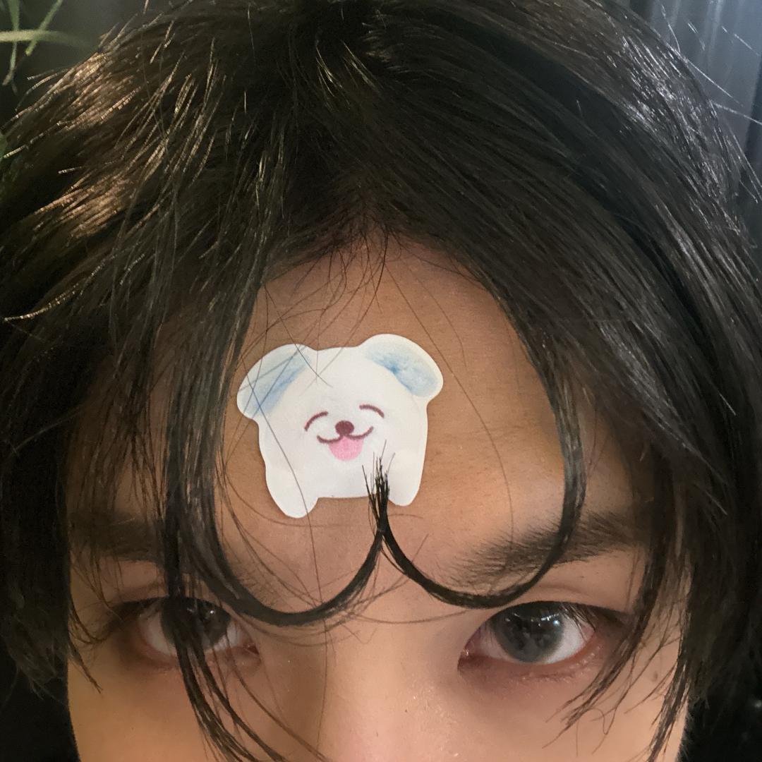 容易睡觉