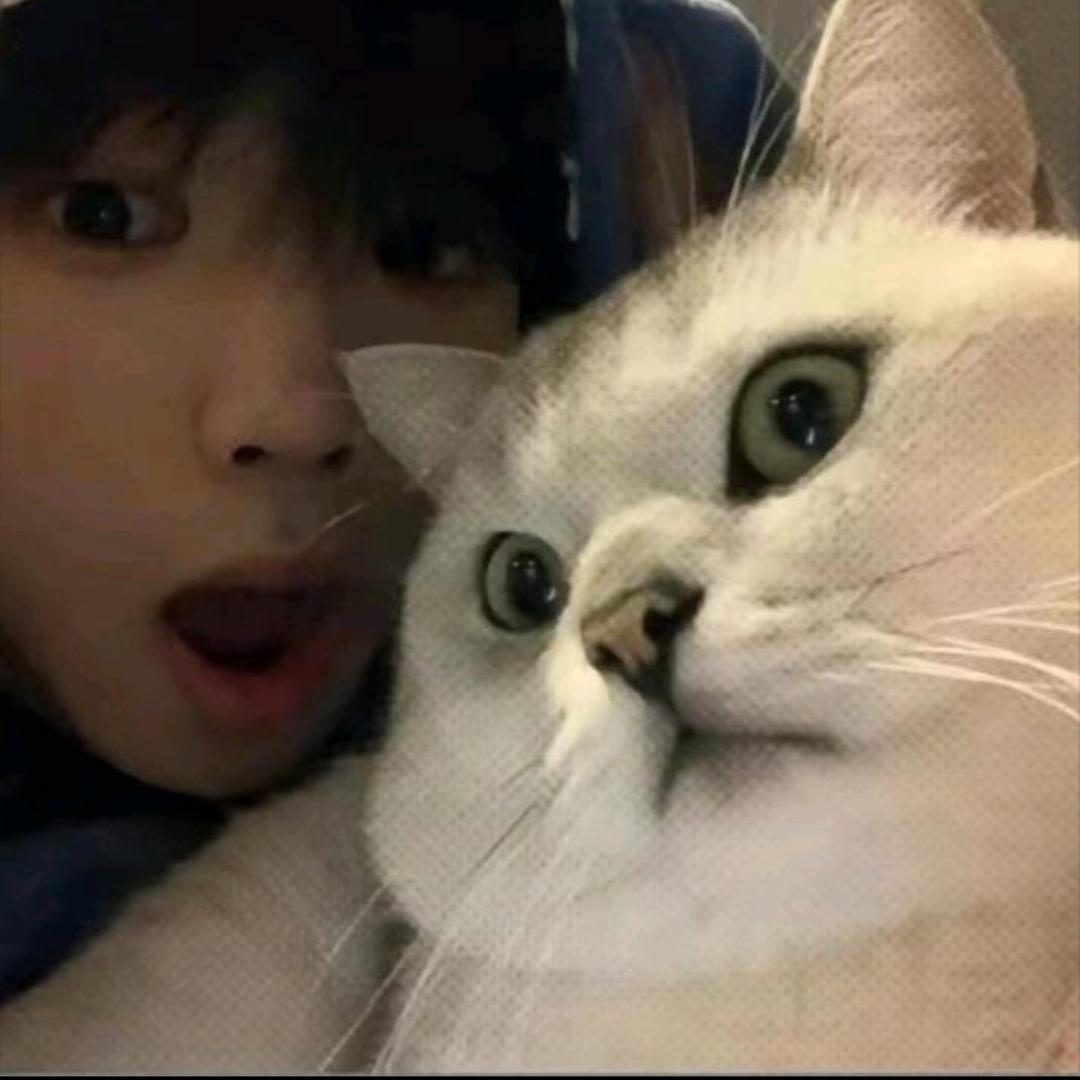 我是猪肉串