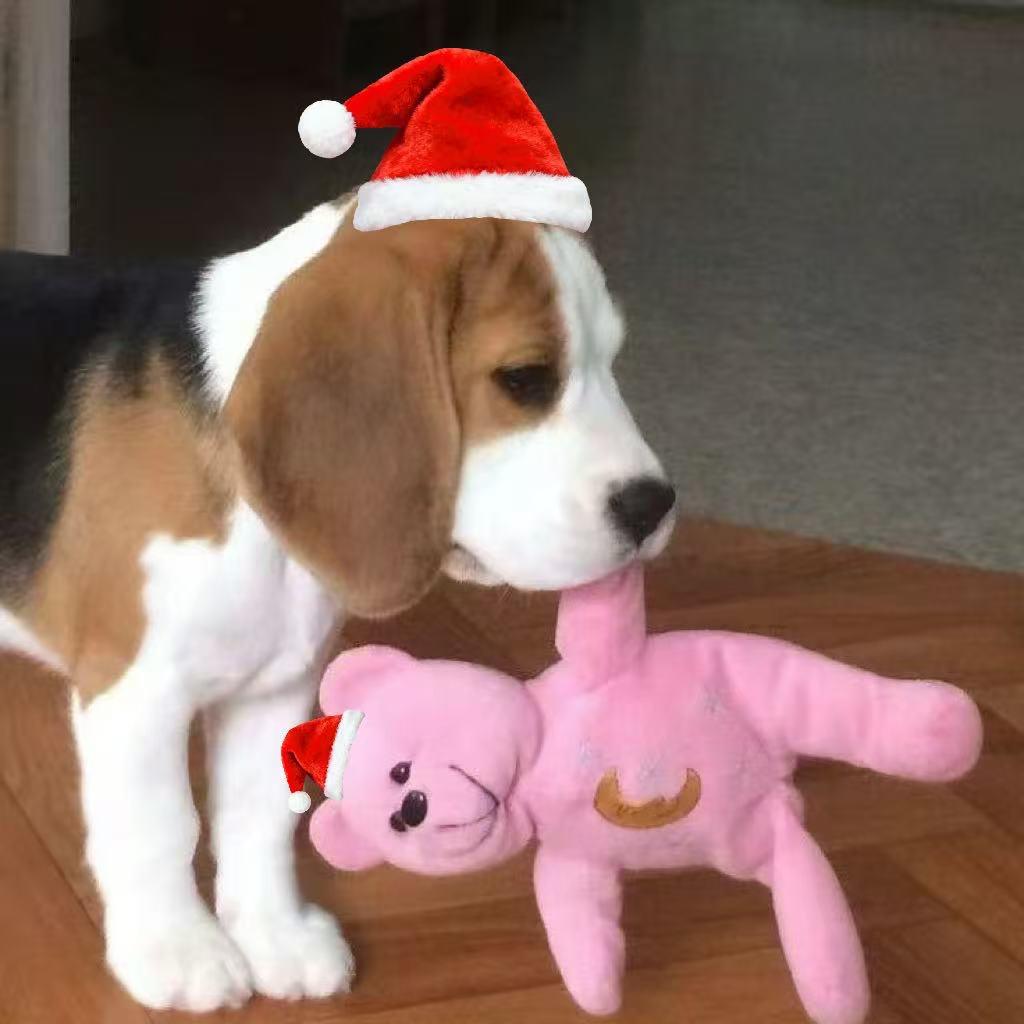 卡比巴拉爱住酒店