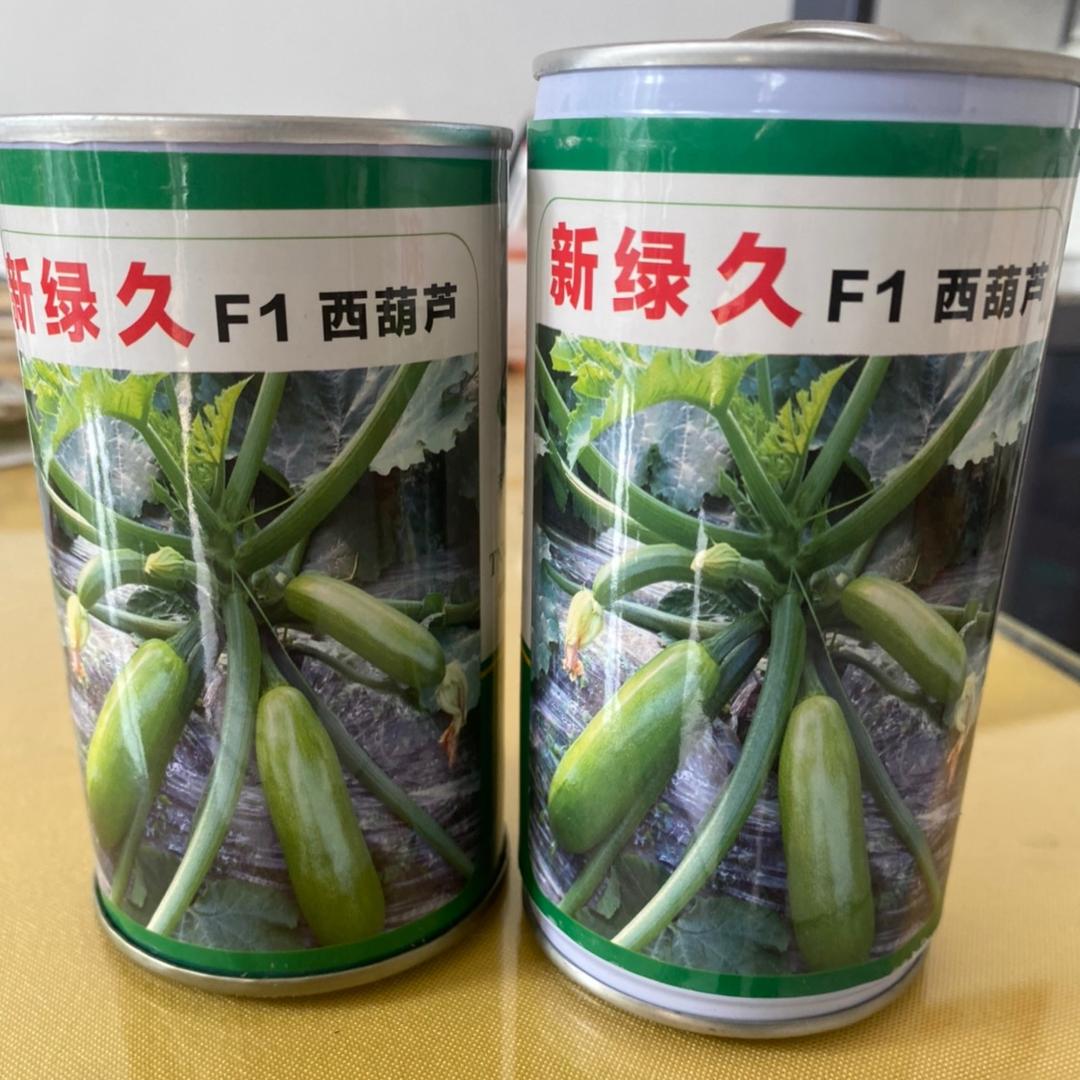 盛世种苗